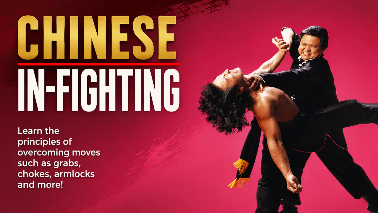 Chinese In-Fighting by Douglas Wong