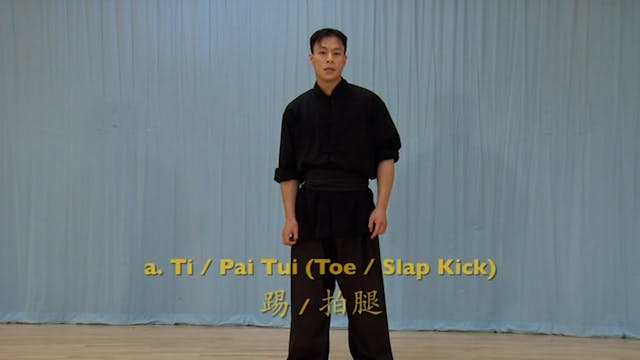 Shaolin Kung Fu Advanced 1.8