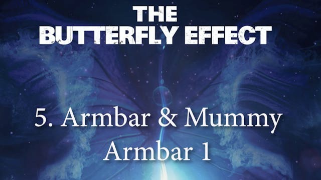 5 Armbar & Mummy Armbar 1 - Butterly Effect