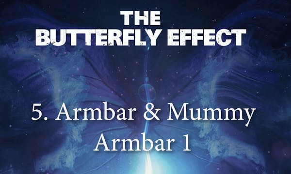 5 JP Armbar & Mummy Armbar 1