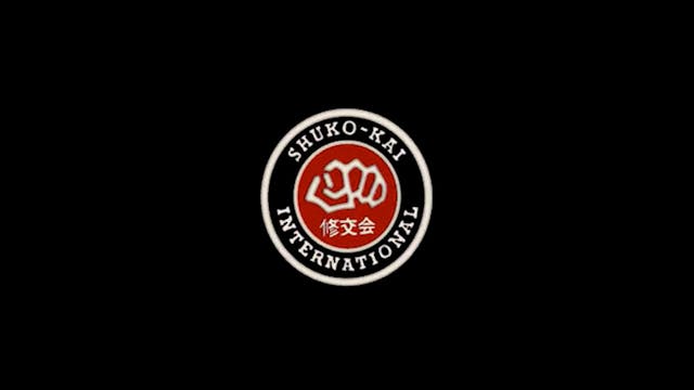 Tachi Kata Karate Do Systemetic Stances by Kunio Miyake