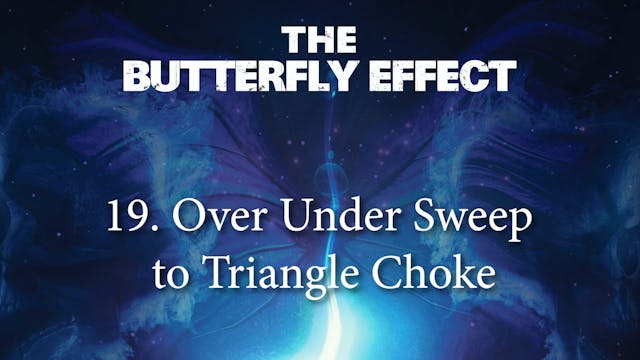 Butterfly Effect 19 Over Under Sweep to Triangle