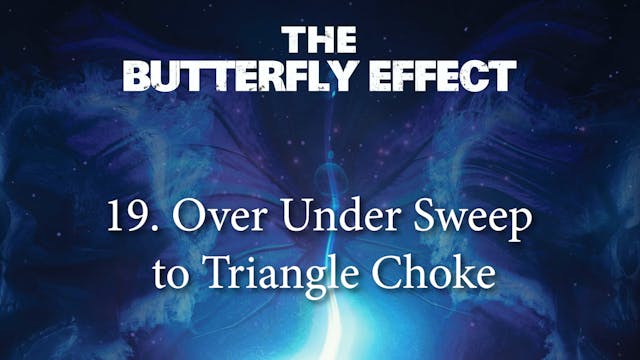 Butterfly Effect 19 Over Under Sweep ...