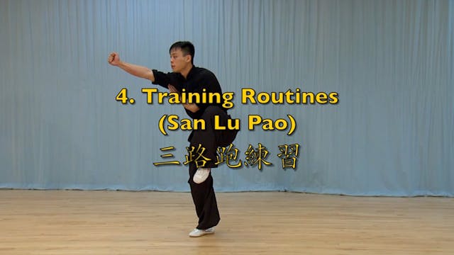 Shaolin Kung Fu Advanced 1.22