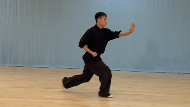 Shaolin Kung Fu Advanced 1.30