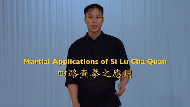 Shaolin Kung Fu Advanced 2 - 81