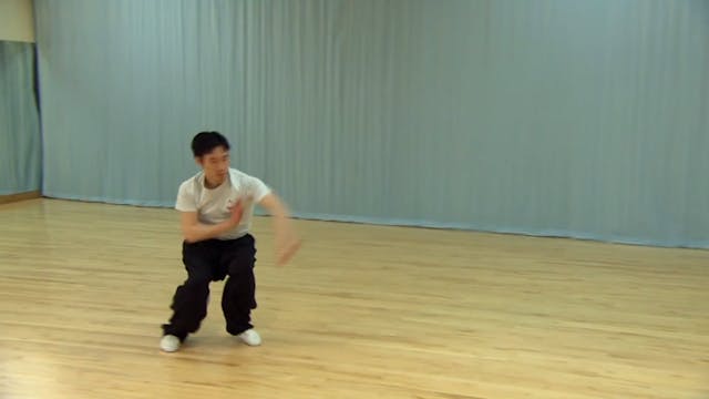 Shaolin Kung Fu Long Fist Int - 20