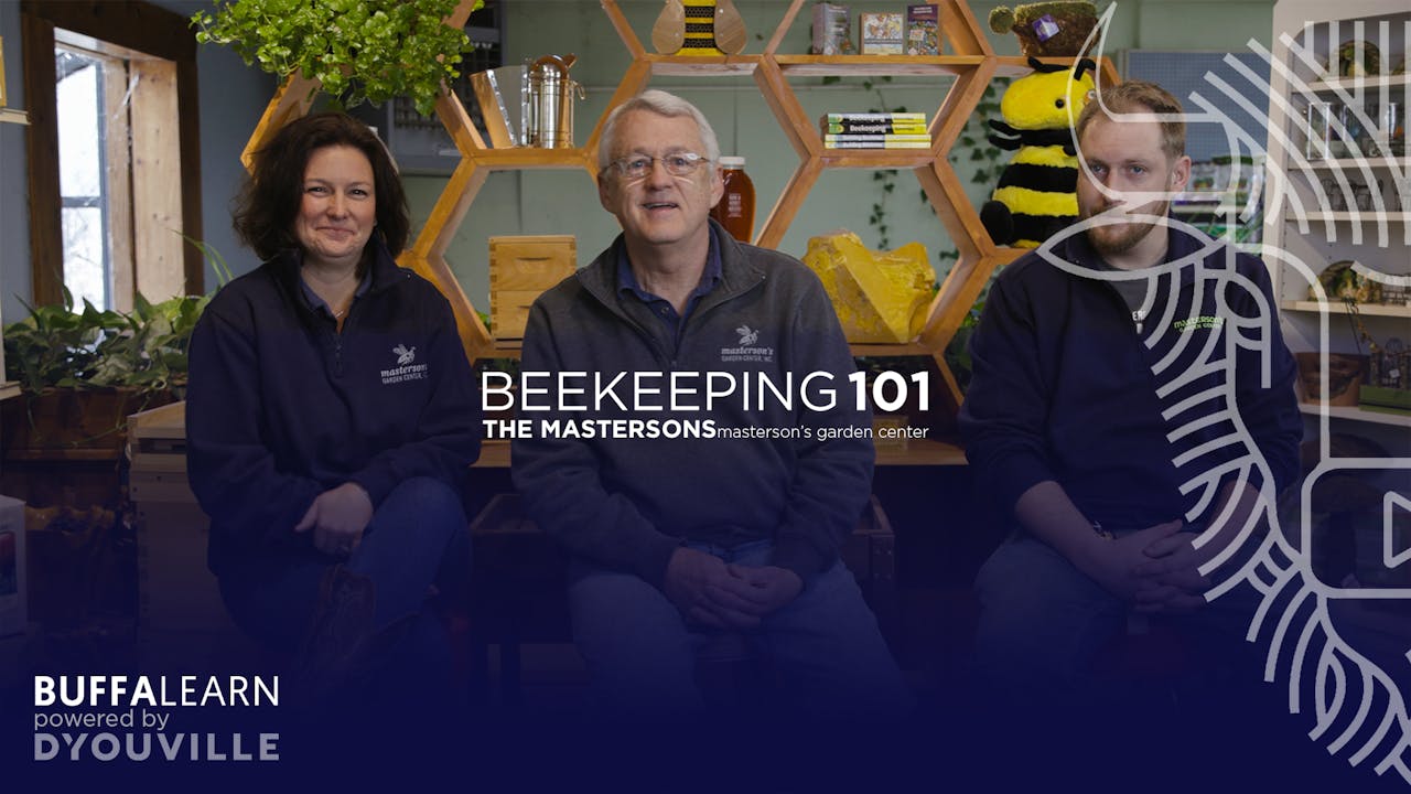 BeeKeeping 101