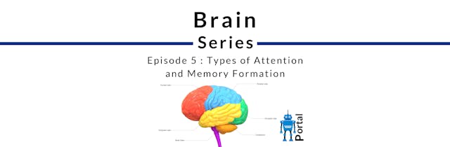 Types of Attention and Memory Formation 