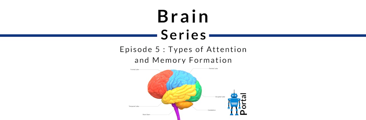 Types of Attention and Memory Formation 