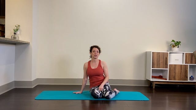 Abs and Sternum Spotlight