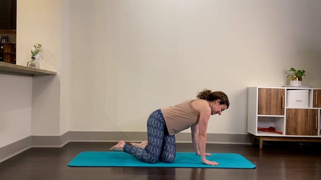 Stretch and Mobiize