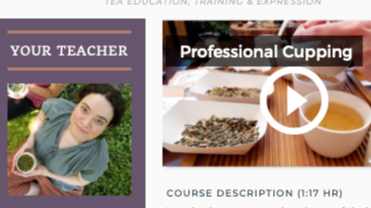 Professional Cupping Materials