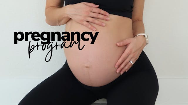 Pregnancy program