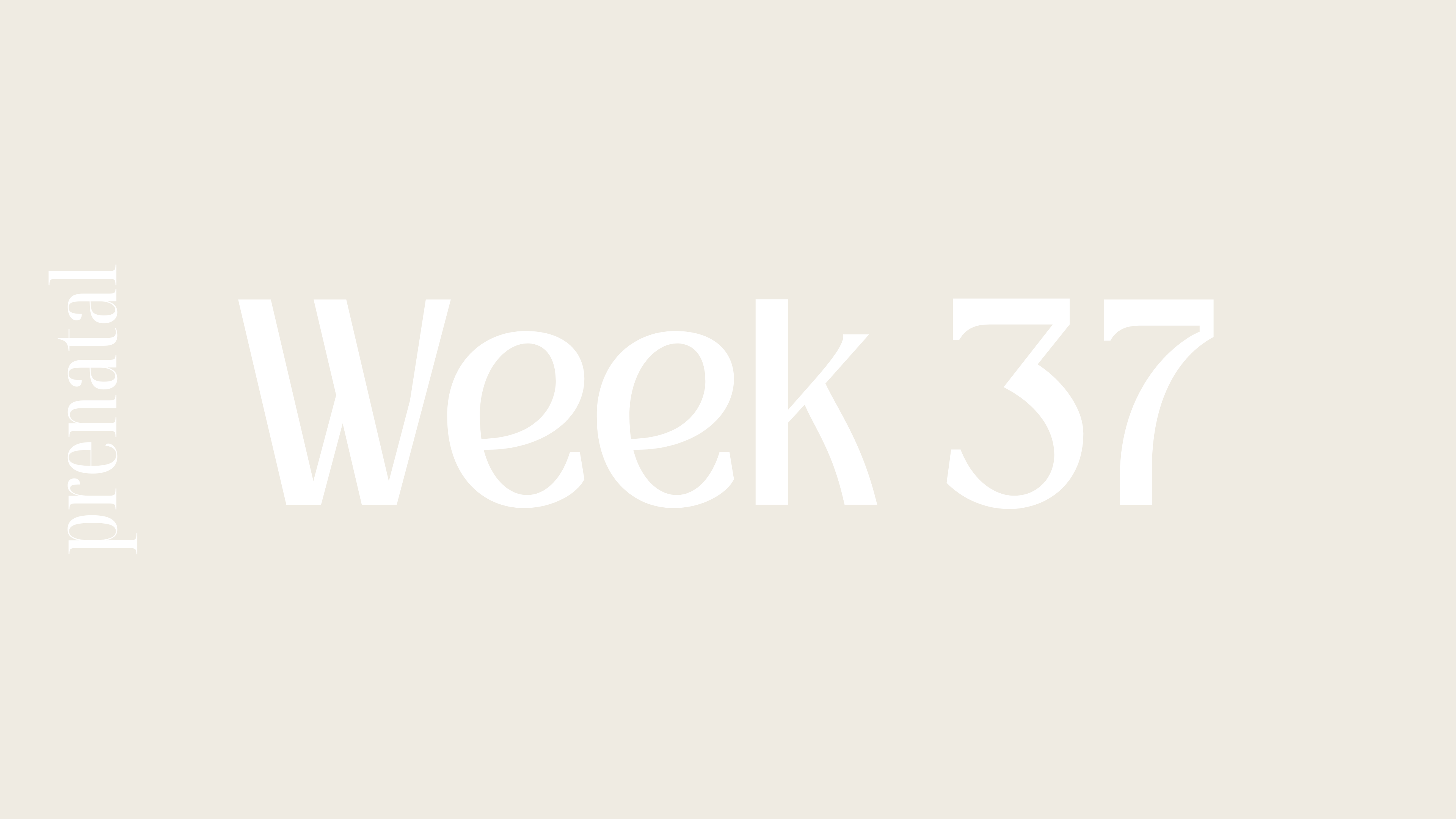 WEEK 37