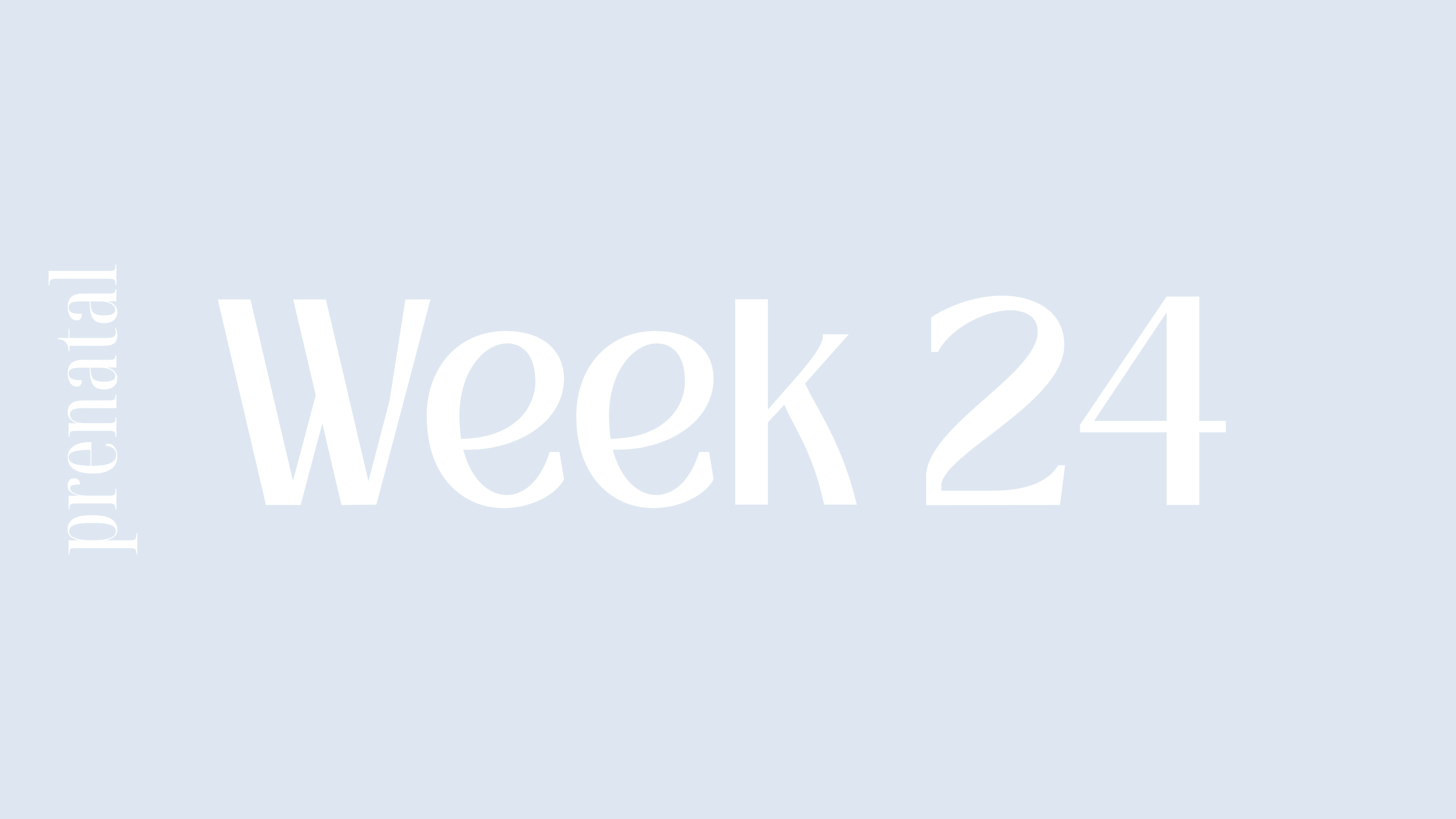 WEEK 24