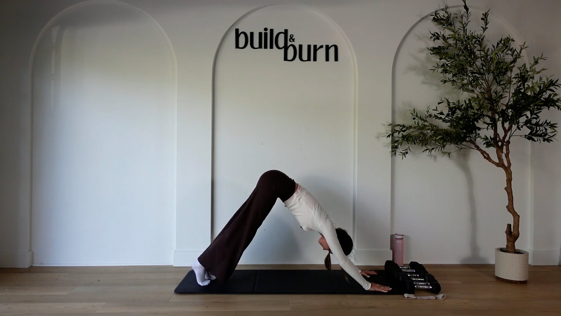 Biceps & Back to Failure