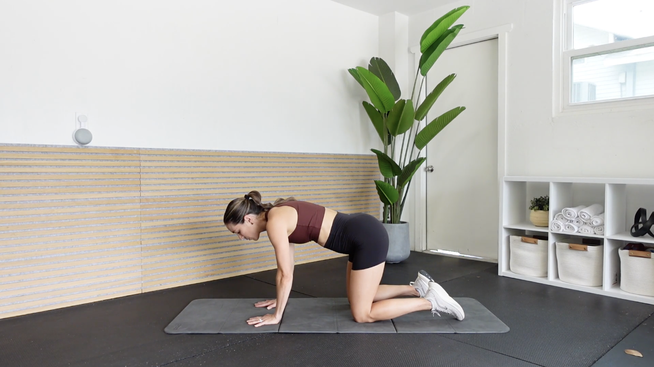 Pelvic Floor Rehab Session 9 - Quadruped