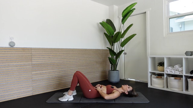 Pelvic Floor Rehab Session 6 - Supine