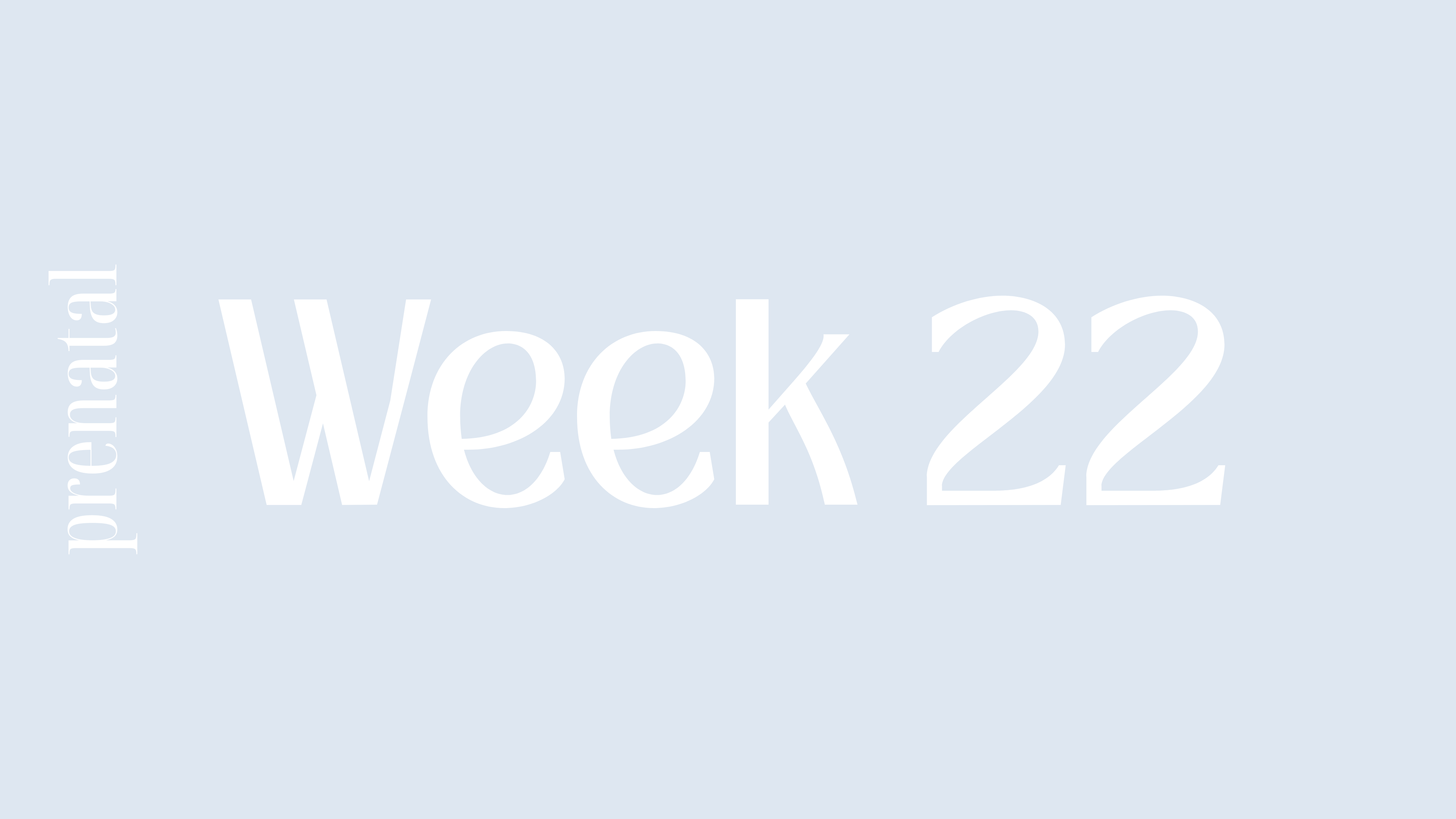 WEEK 22