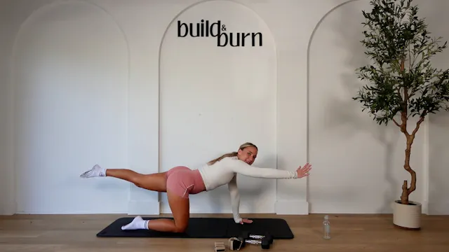 Back, Biceps, and Core Mat Pilates