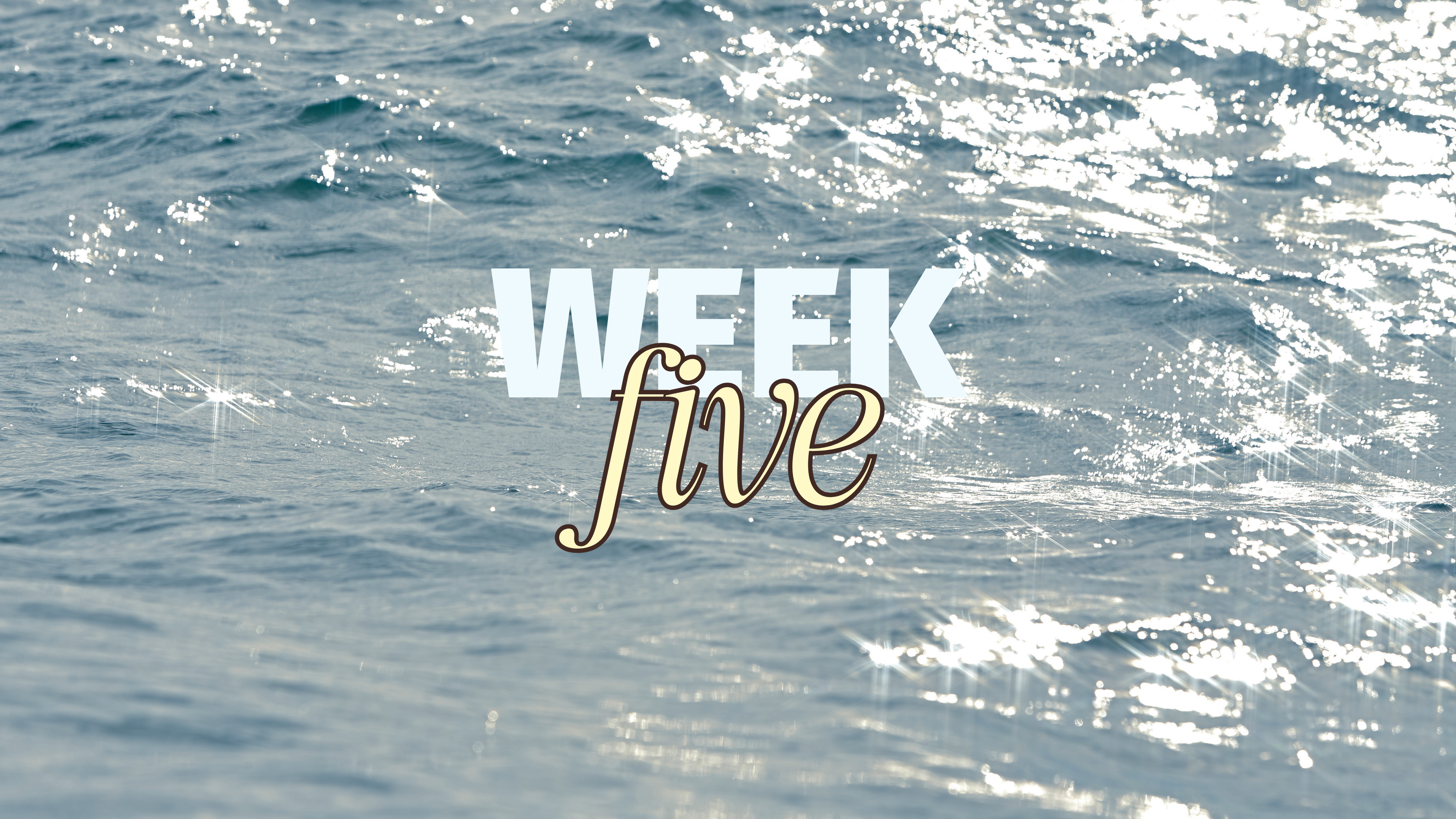 WEEK 5 SUMMER SWEAT
