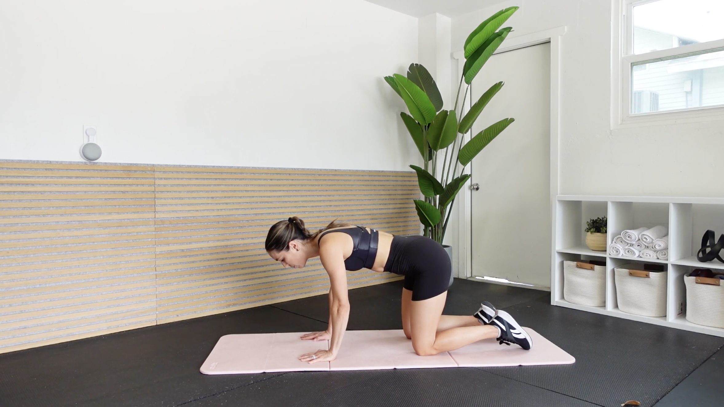 Pelvic Floor Rehab Session 10 - Quadruped