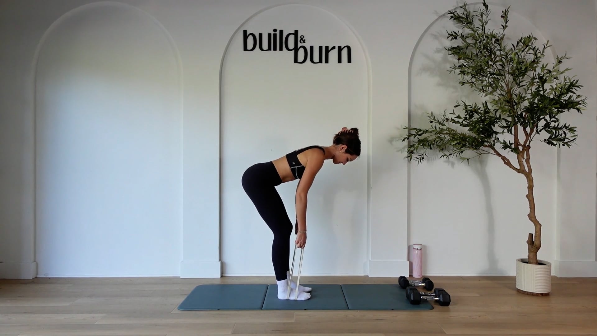 Back, Biceps & a touch of Triceps