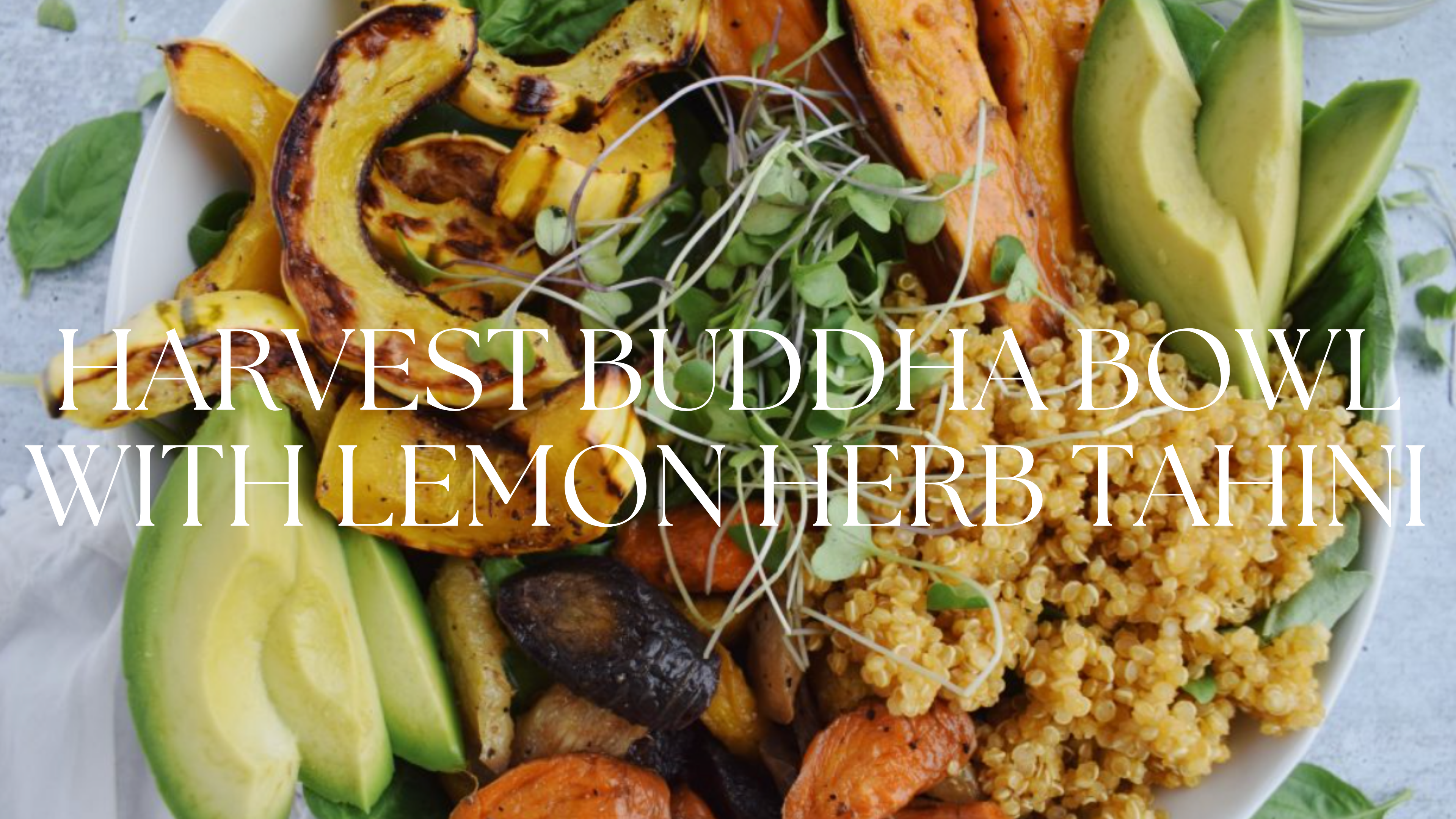 HARVEST BUDDHA BOWL WITH LEMON HERB TAHINI