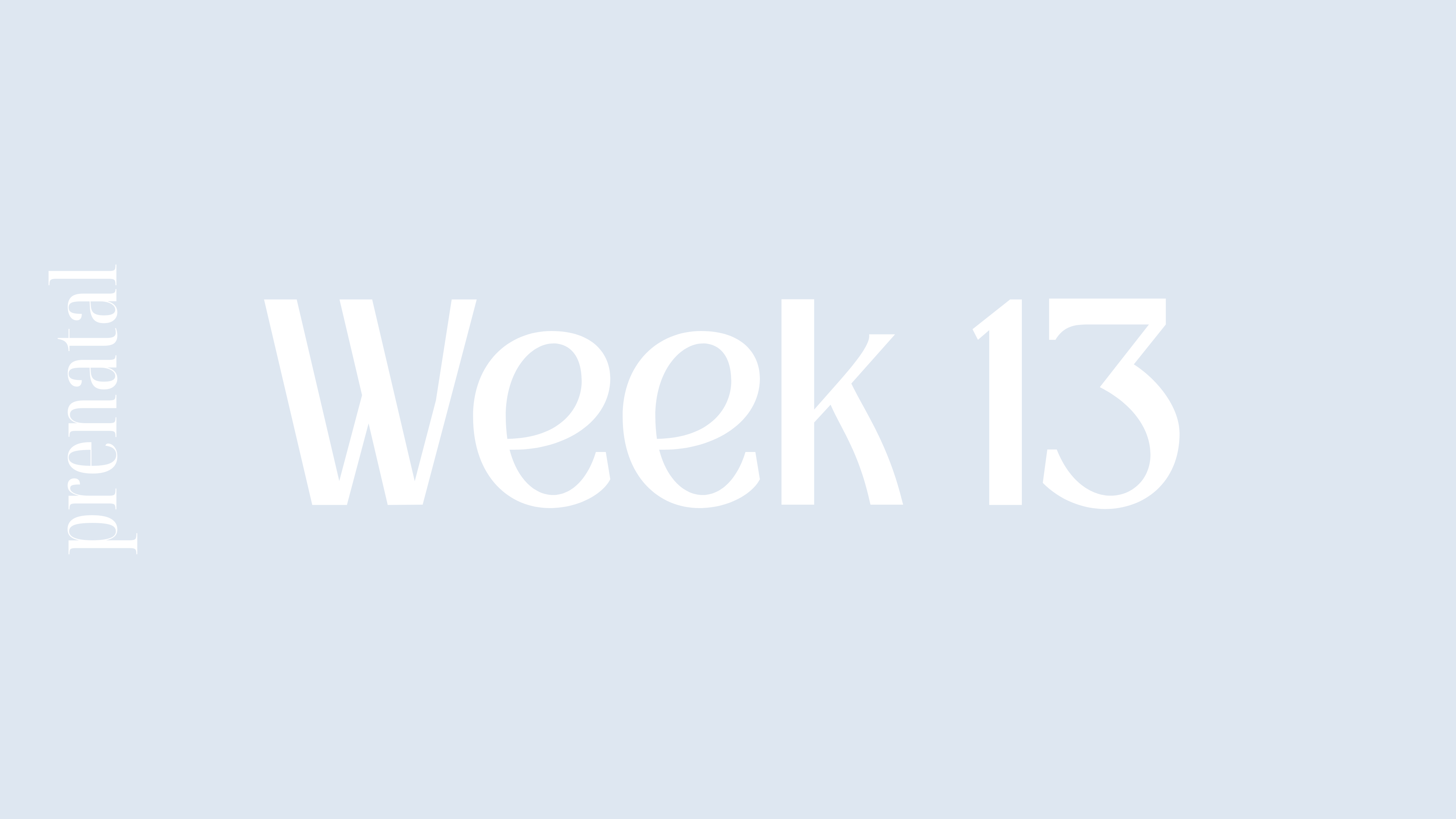 WEEK 13