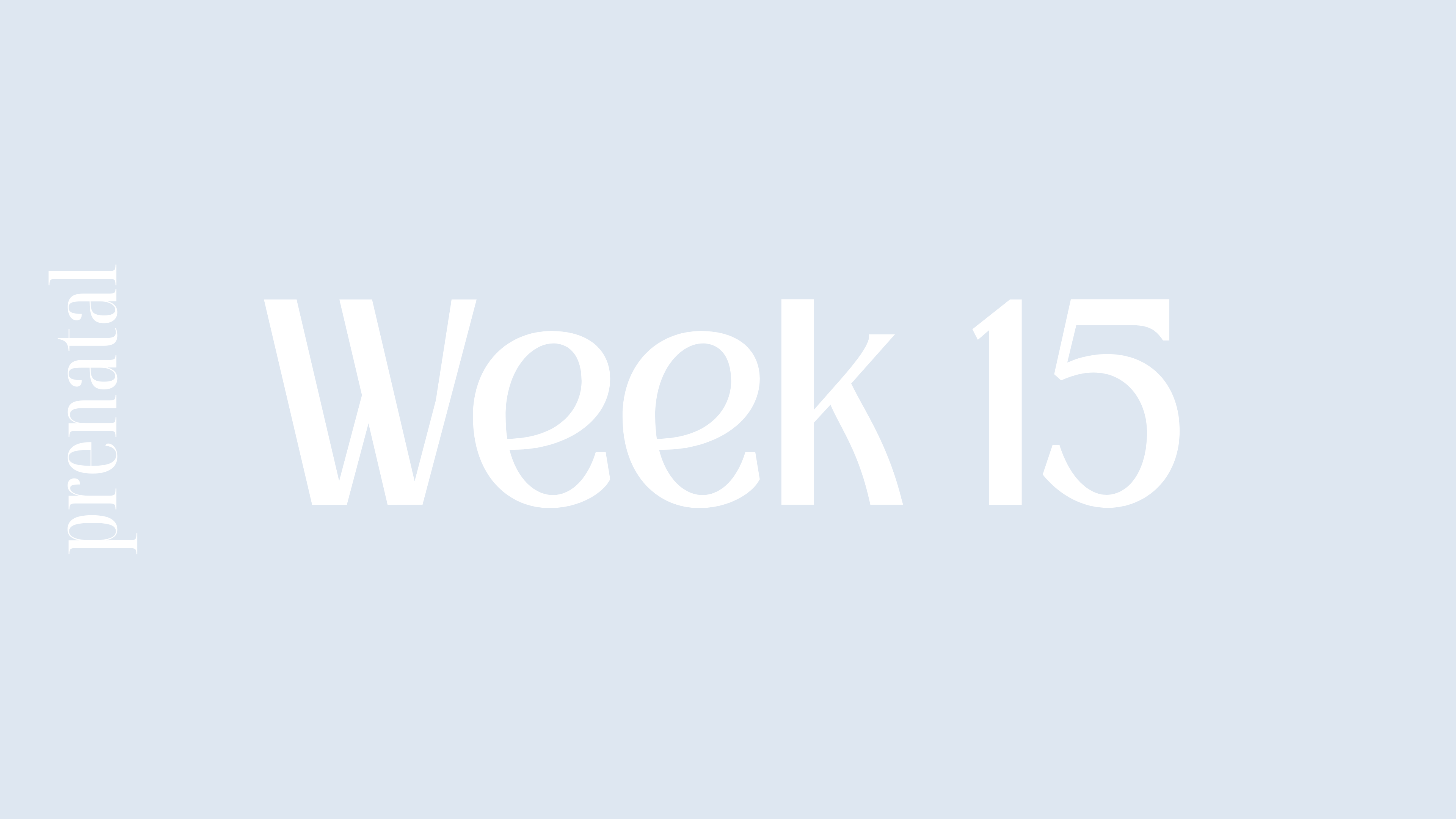 WEEK 15