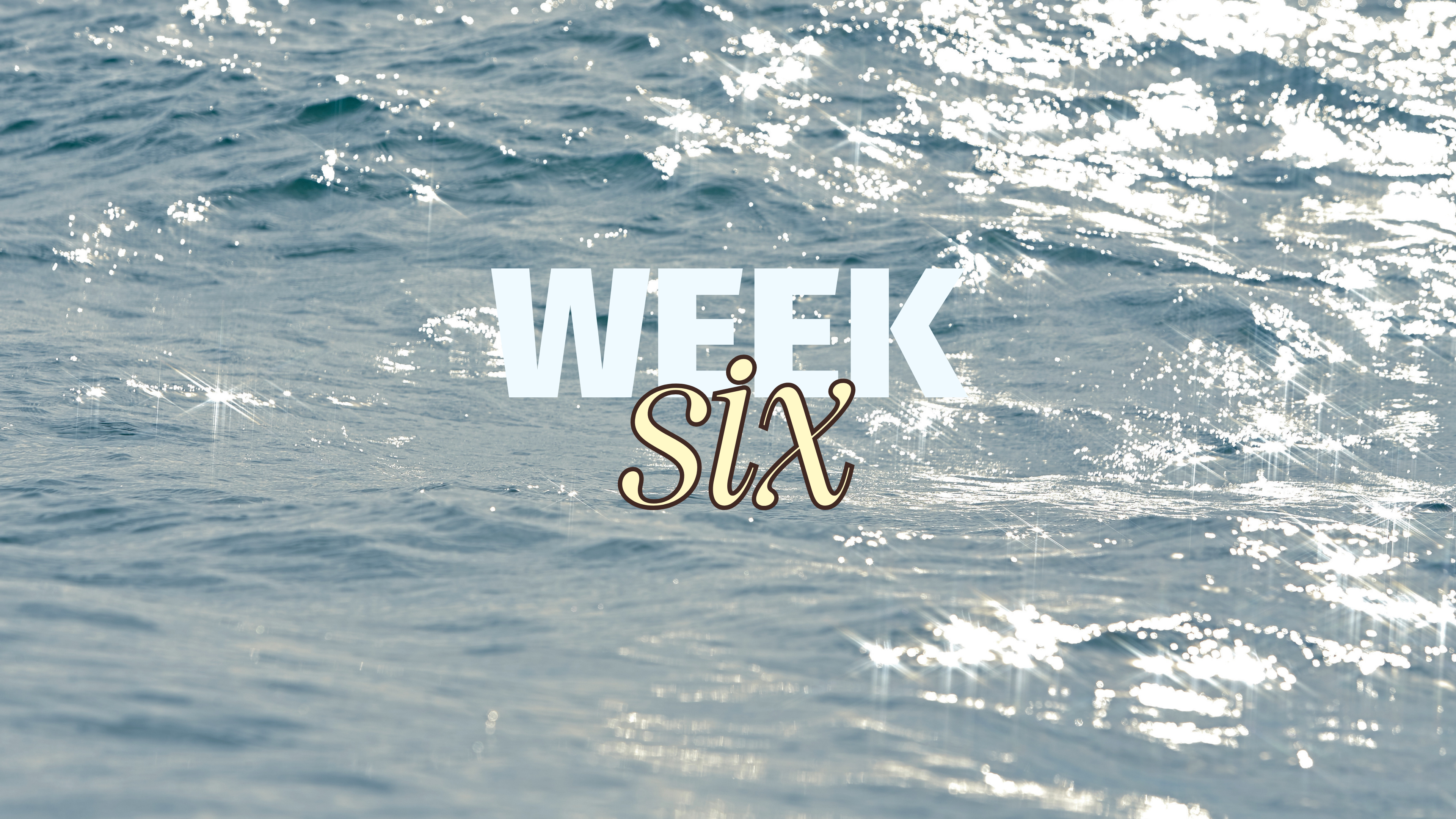 WEEK 6 SUMMER SWEAT