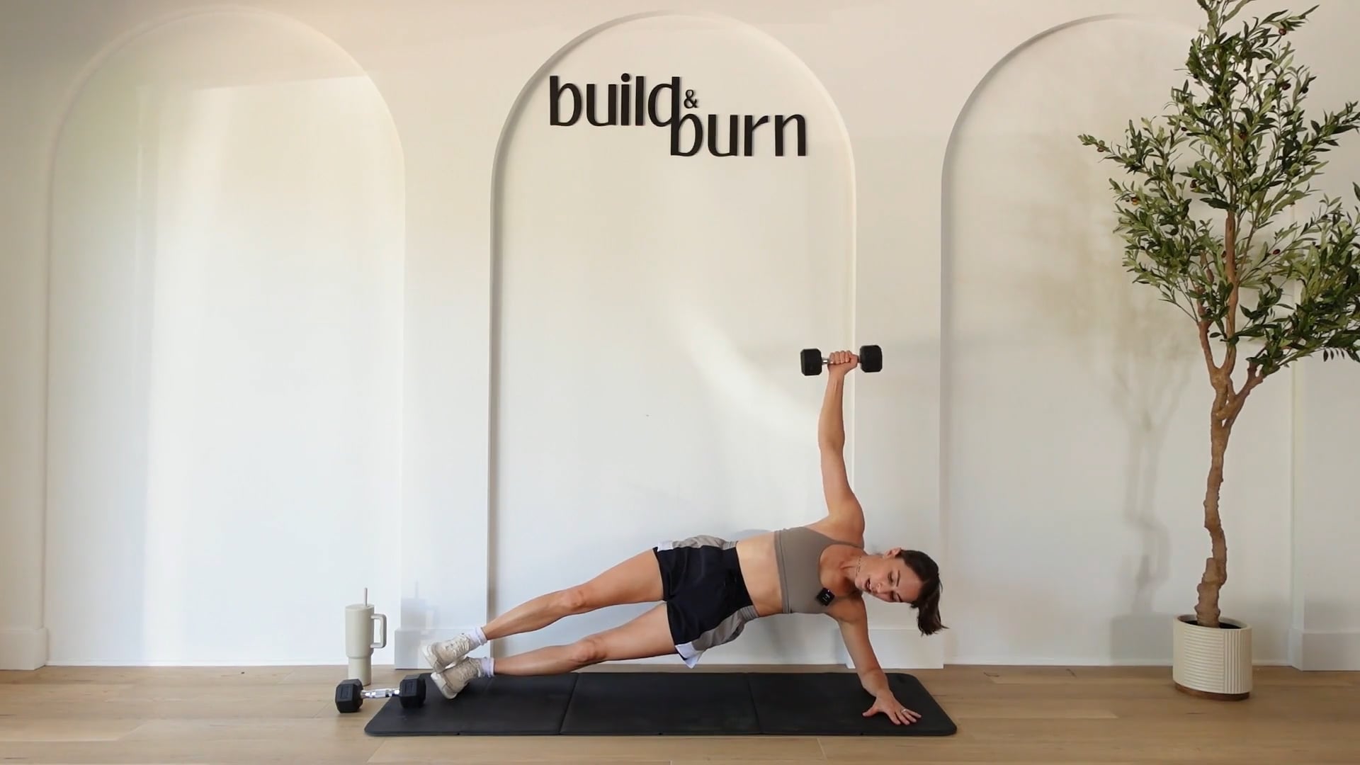 Back & Biceps Quick Burn