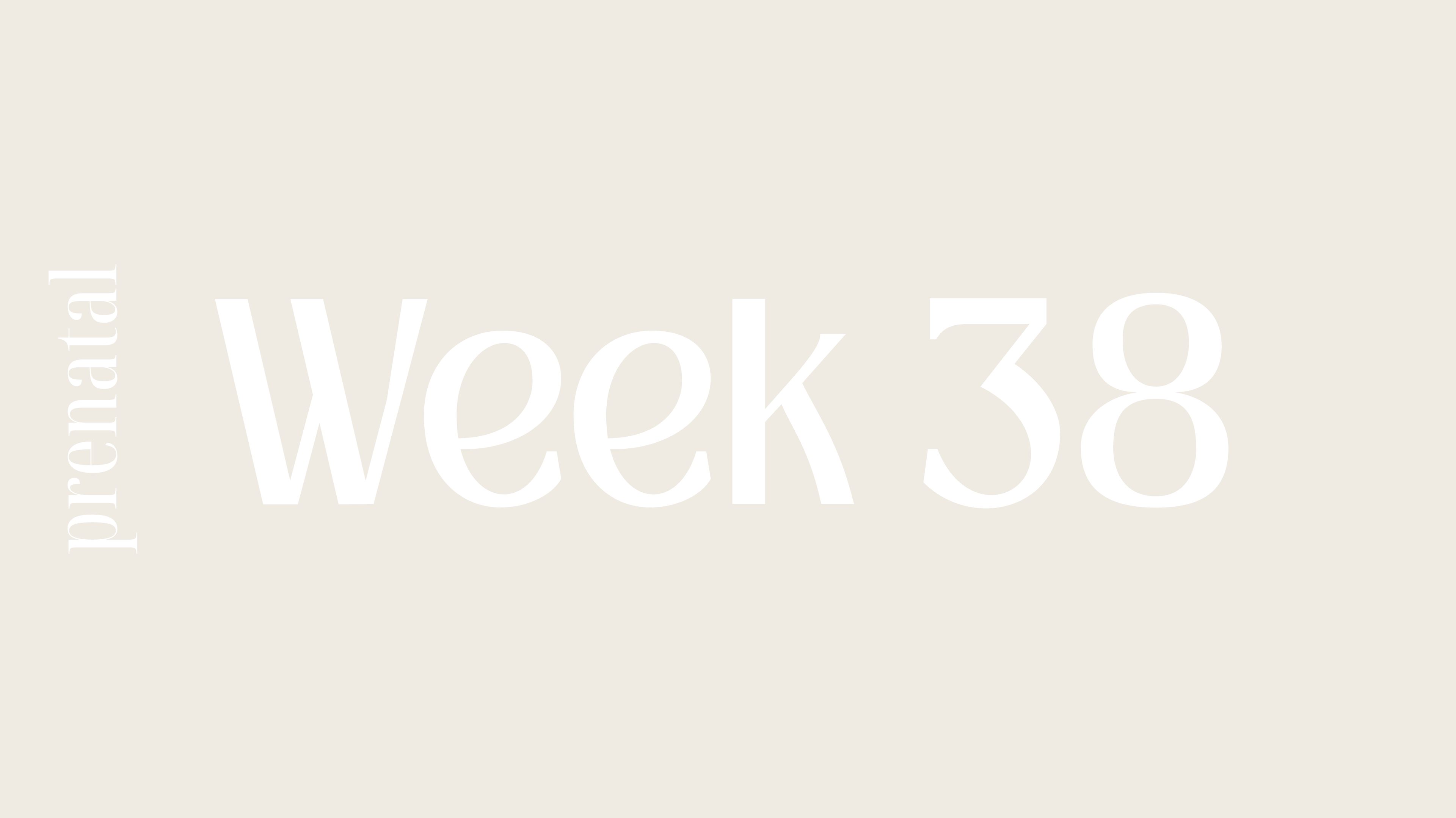 WEEK 38