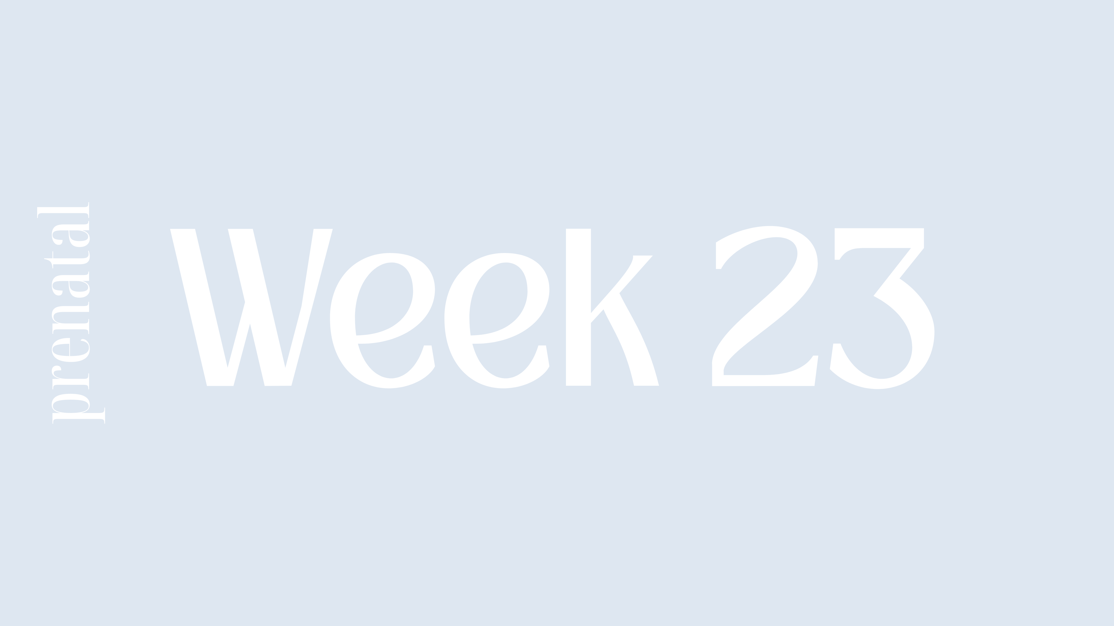 WEEK 23