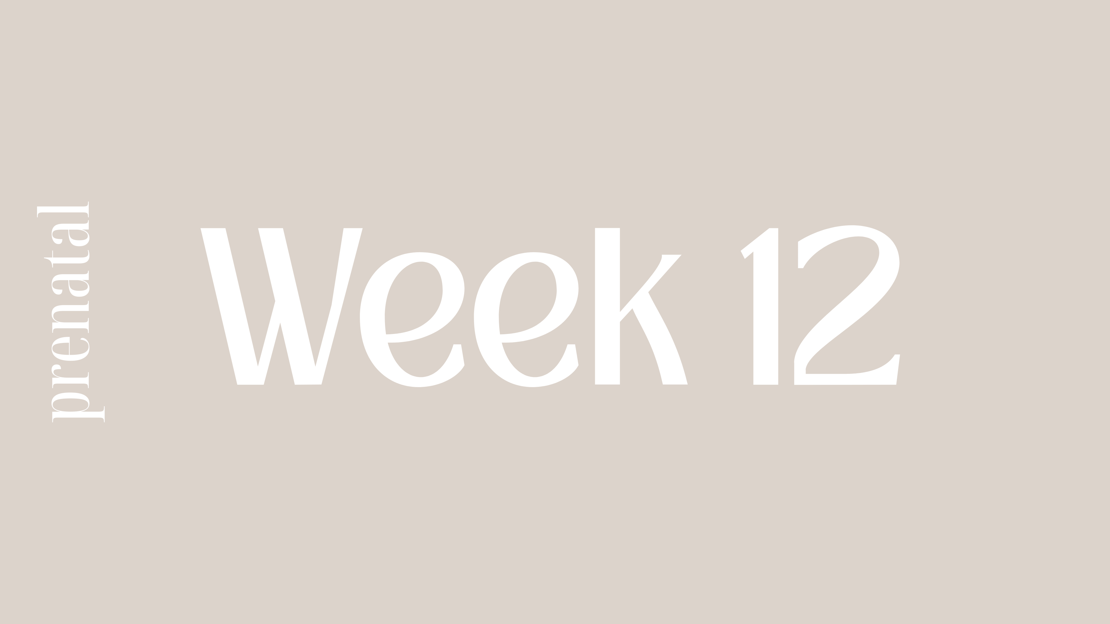 WEEK 12
