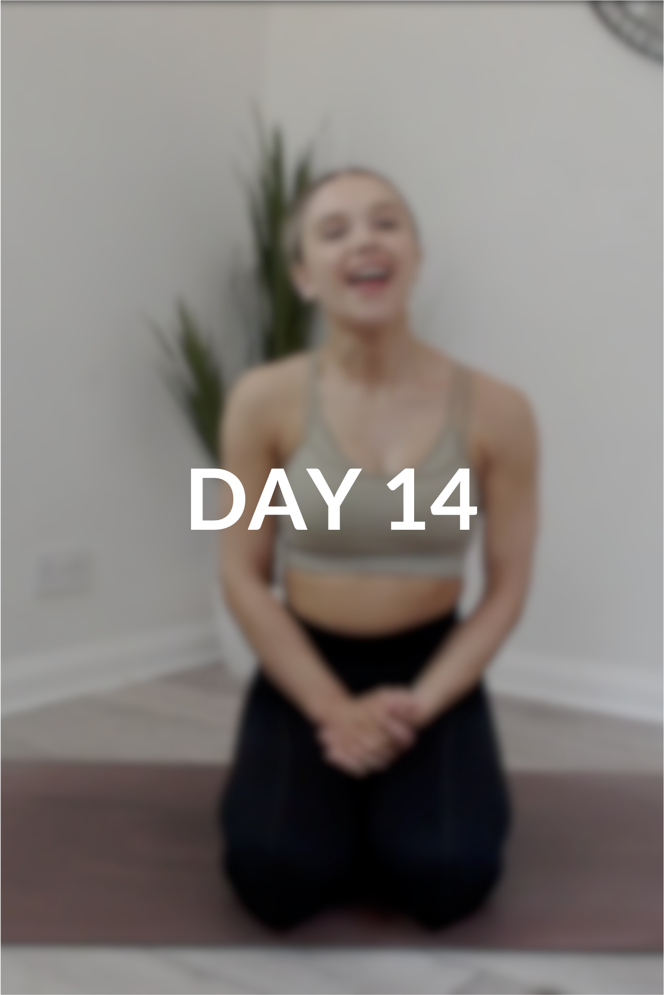 28 day Intro to Pilates | Day 14