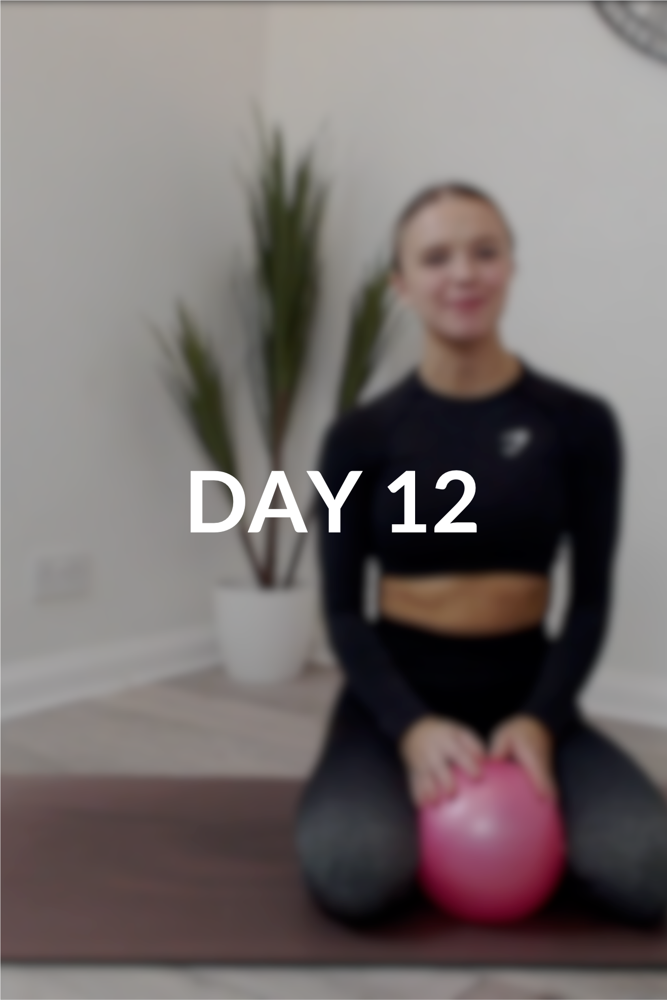 28 day Intro to Pilates | Day 12