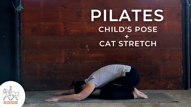 Child's Pose + Cat Stretch