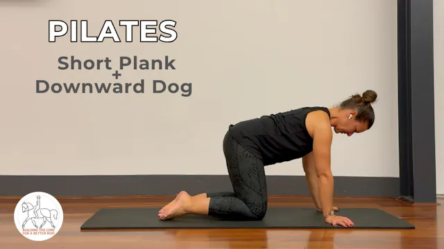 Short Plank + Downward Dog
