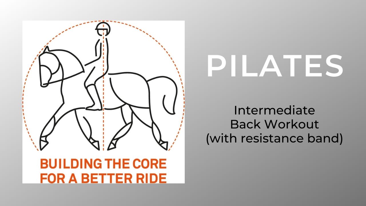 4D Back - Intermediate (with band)