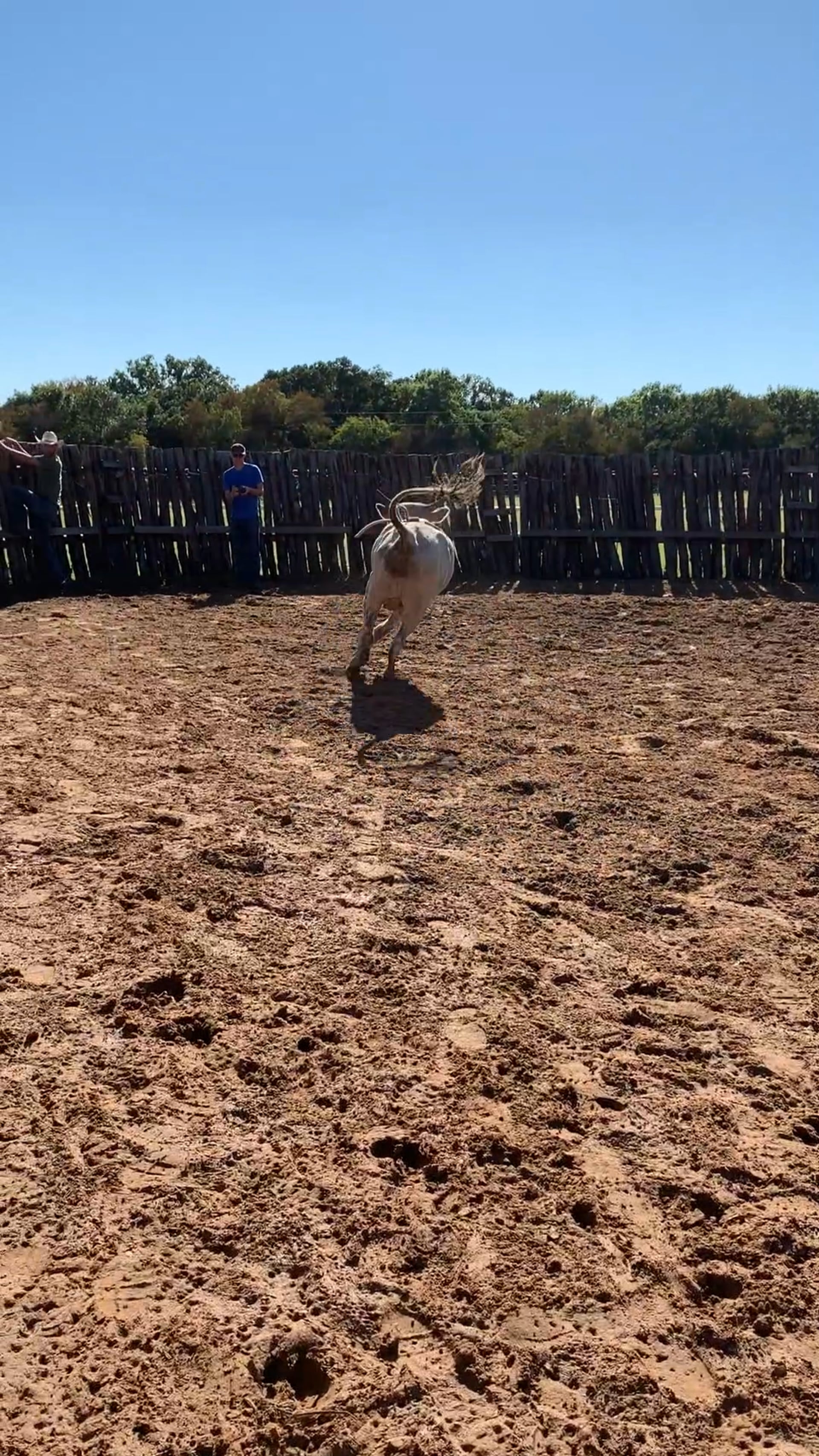 Decatur D-Camp Day 2