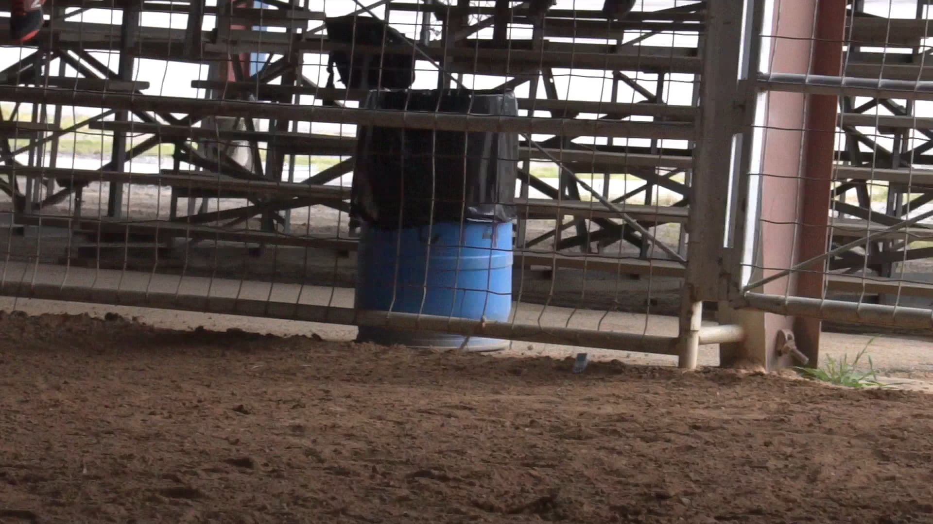 New Caney Tx D Camp 2019 - C0050