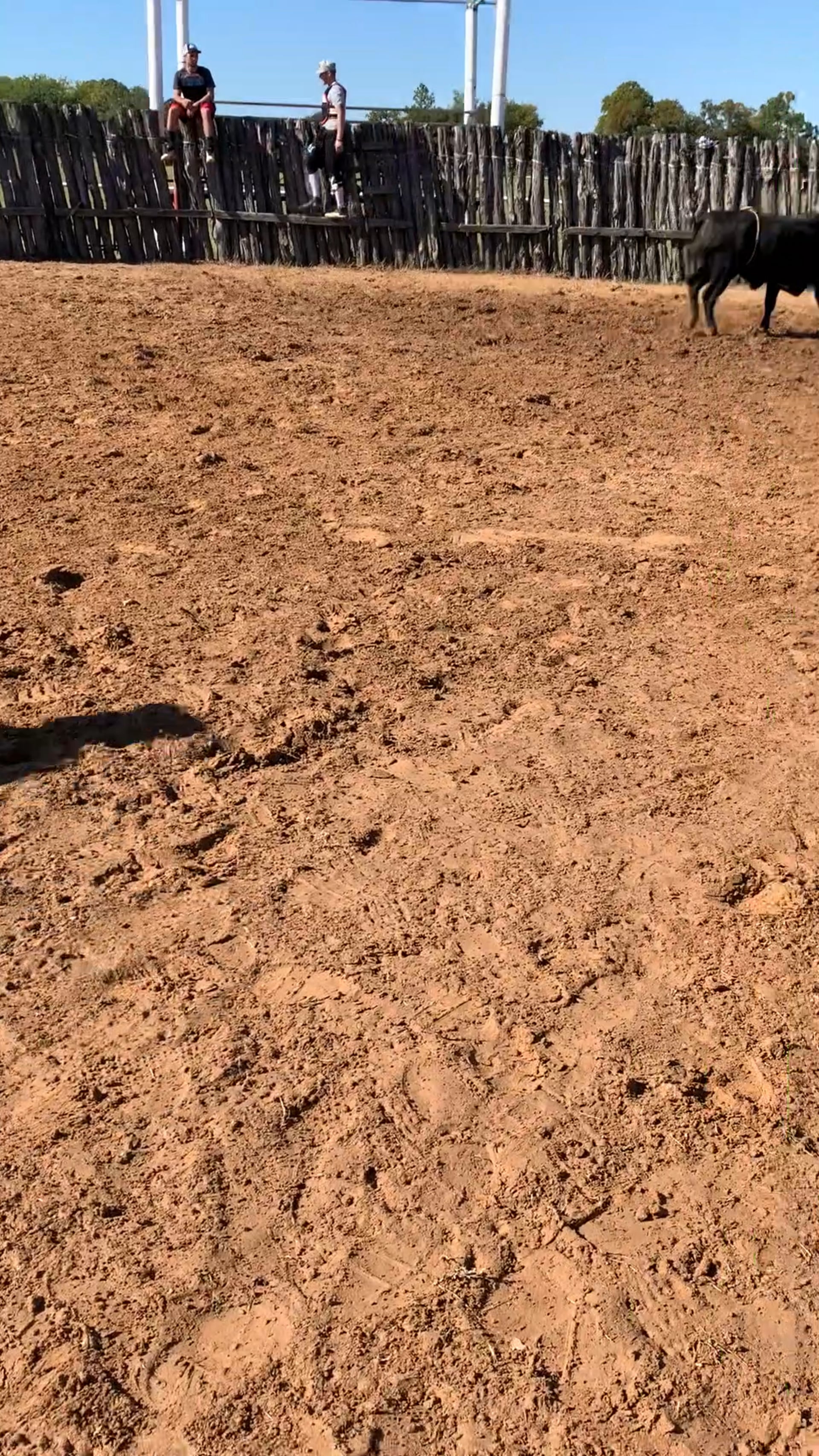 Decatur D-Camp Day 3