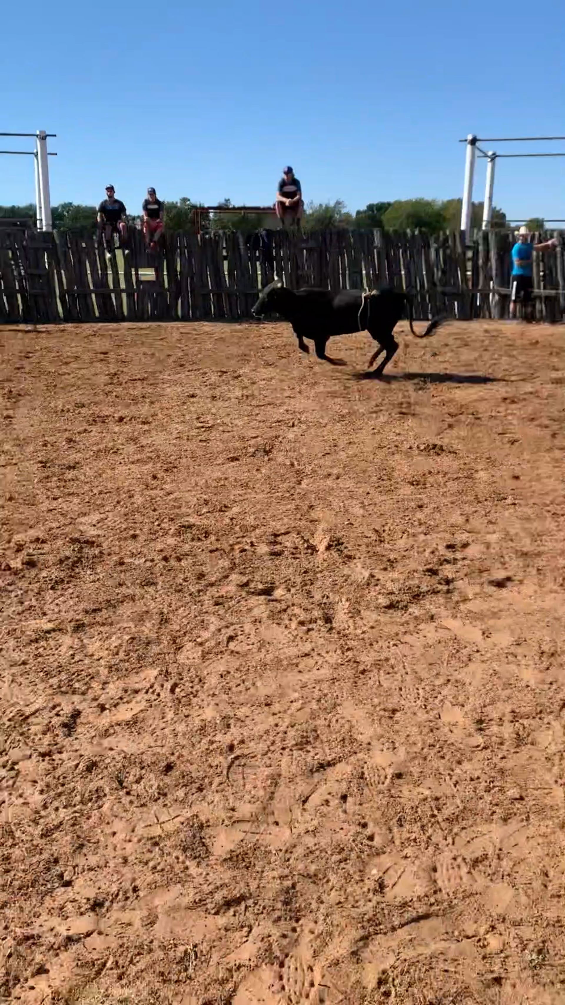 Decatur D-Camp Day 3