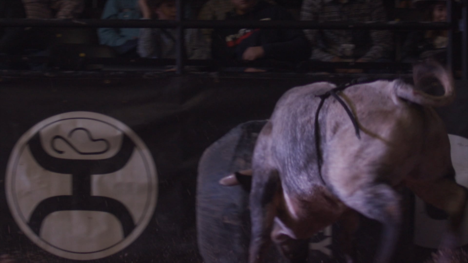 ANDY NORTH - WHO'S GOT YOUR BACK