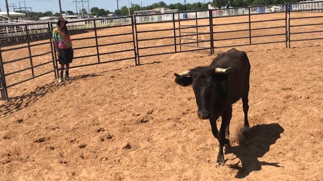 Super Camp 2018 - Day 4