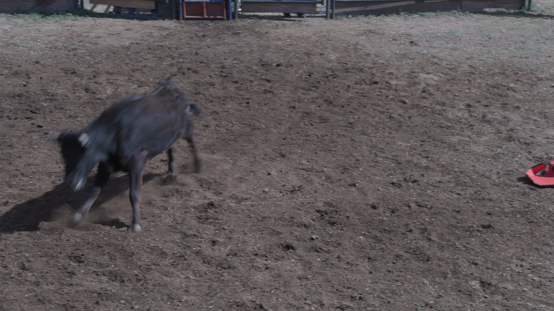 Uvalde D Camp Day 2 2020