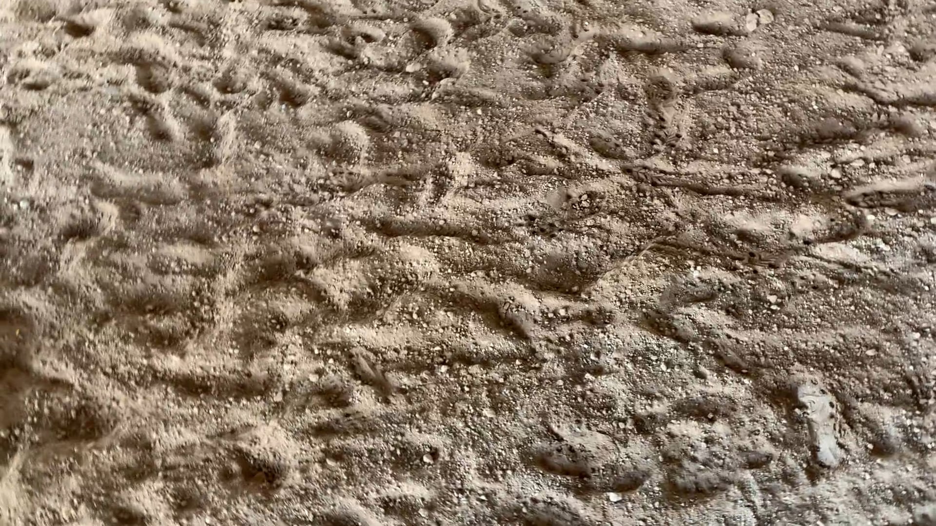 New Caney Tx D Camp 2019 - IMG_0307