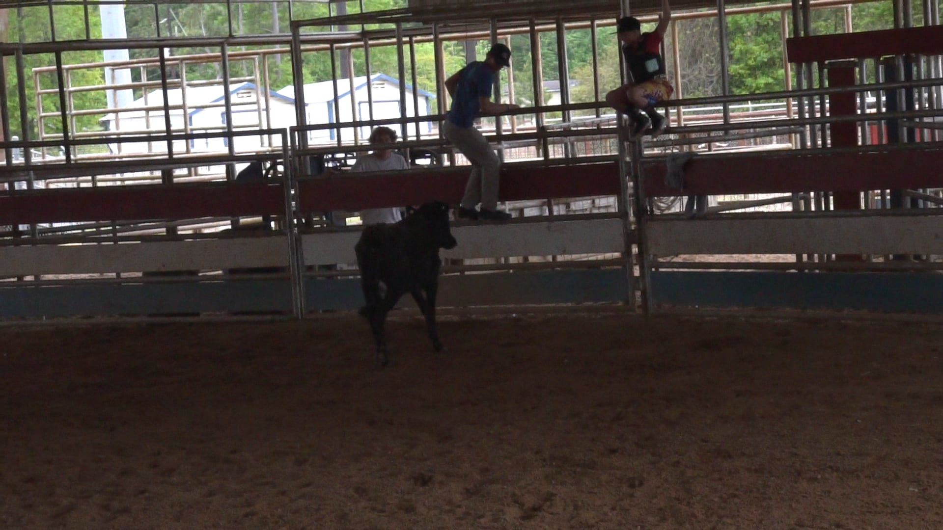 New Caney Tx D Camp 2019 - C0061